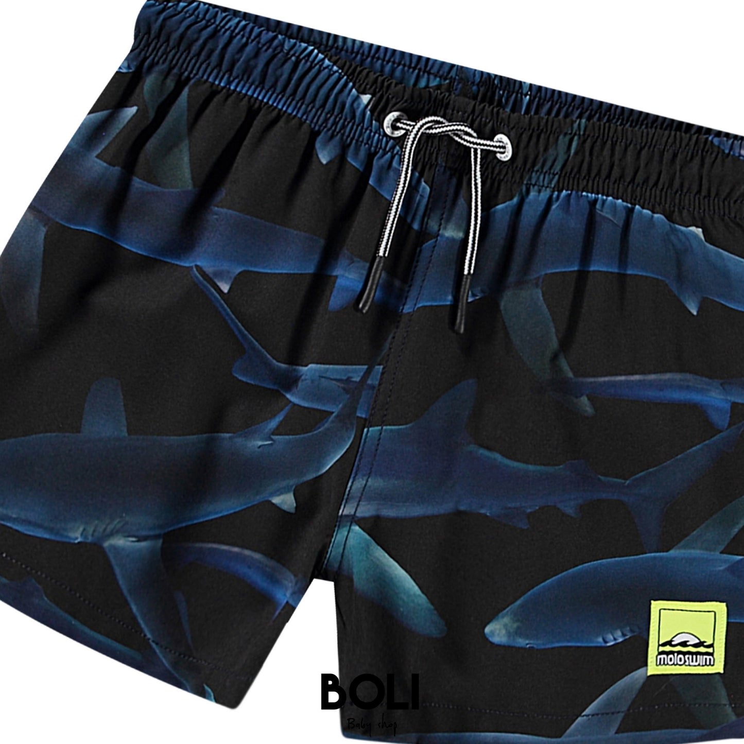 Midnight sharks