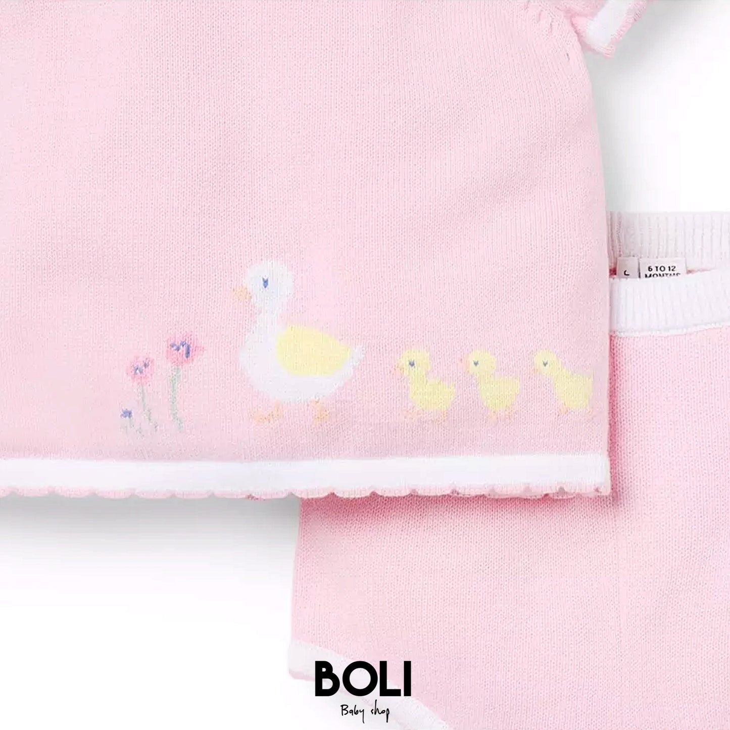 Baby Duckling Set