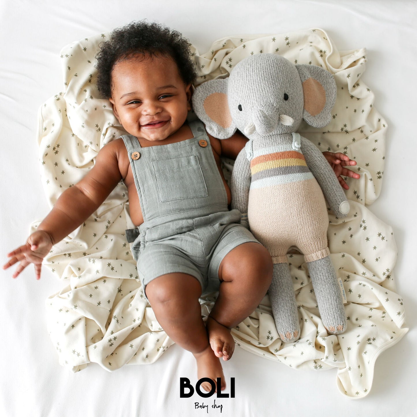 Evan The Elephant