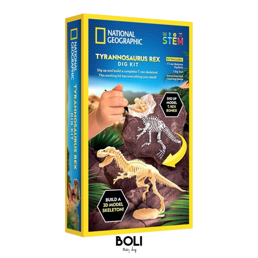 Tyrannosaurus Rex Dig Kit