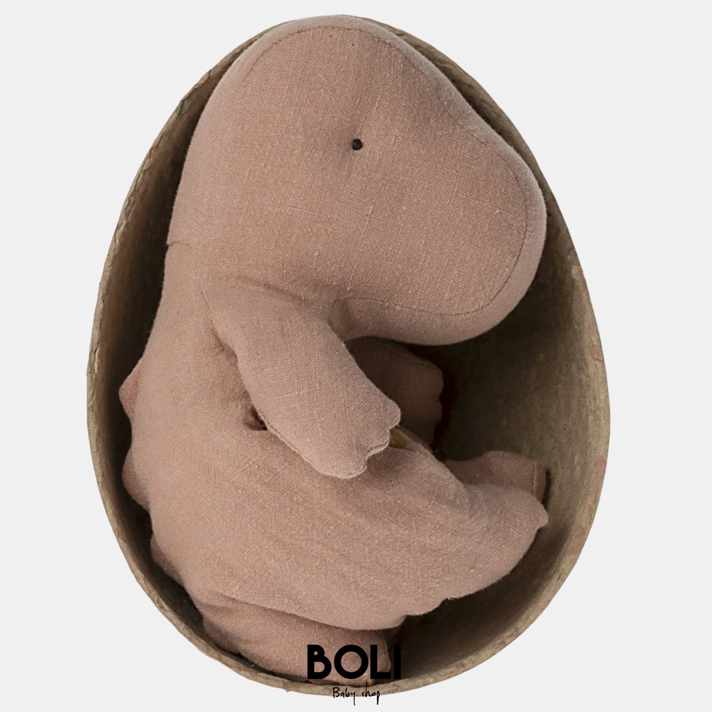 Gantosaurus in egg