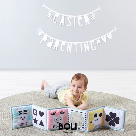 3 in 1 baby book