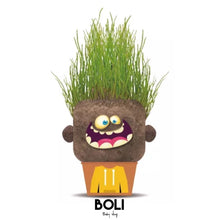 Cargar imagen en el visor de la galería, Plant Pals Happy Hank
