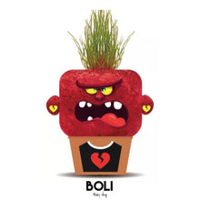 Cargar imagen en el visor de la galería, Plant Pals Angel Annie
