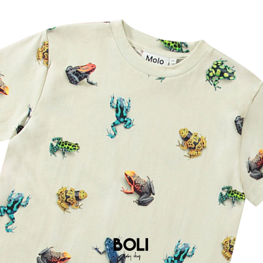 Vibrant Frogs