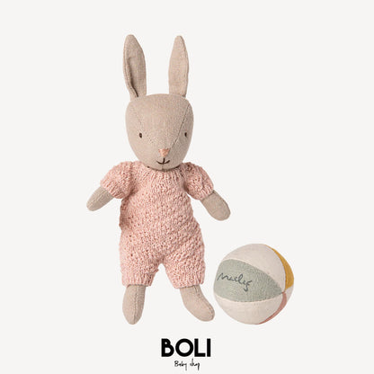 Rabbit Set Micro