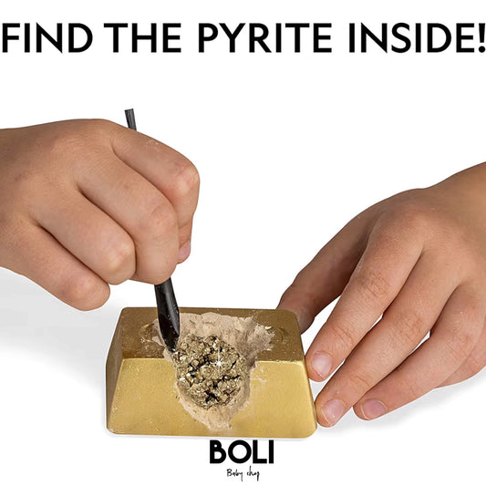 Fool’s Gold Dig Kit