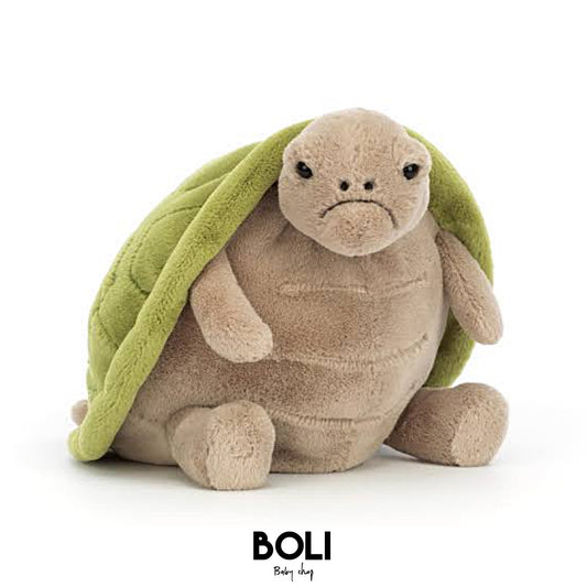 Timmy Turtle