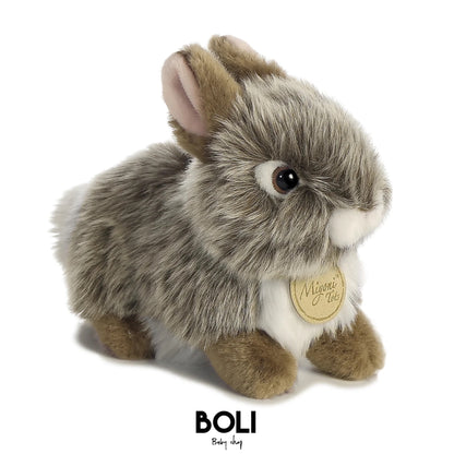 Baby Bunny