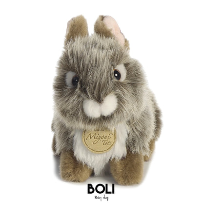 Baby Bunny