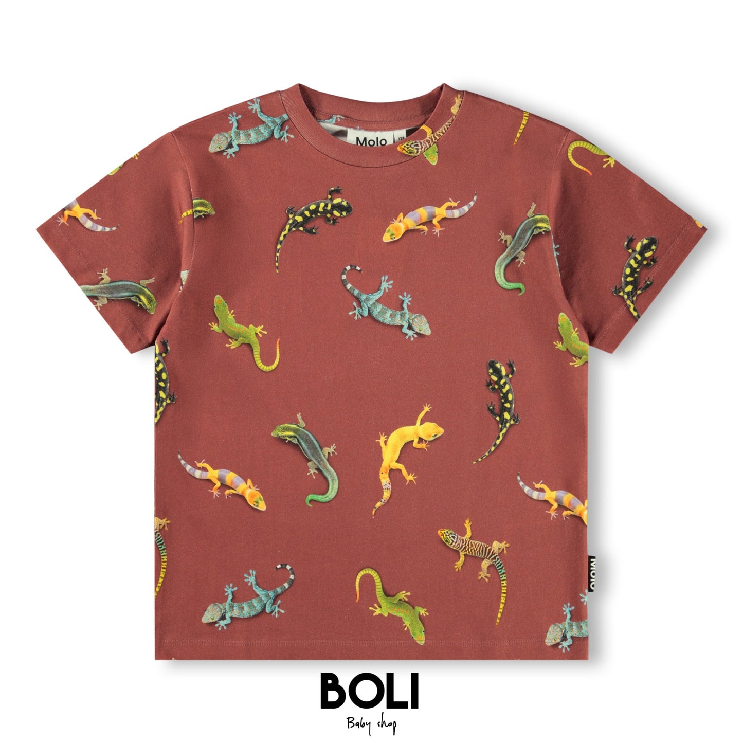 Geckos