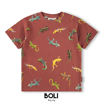 Geckos