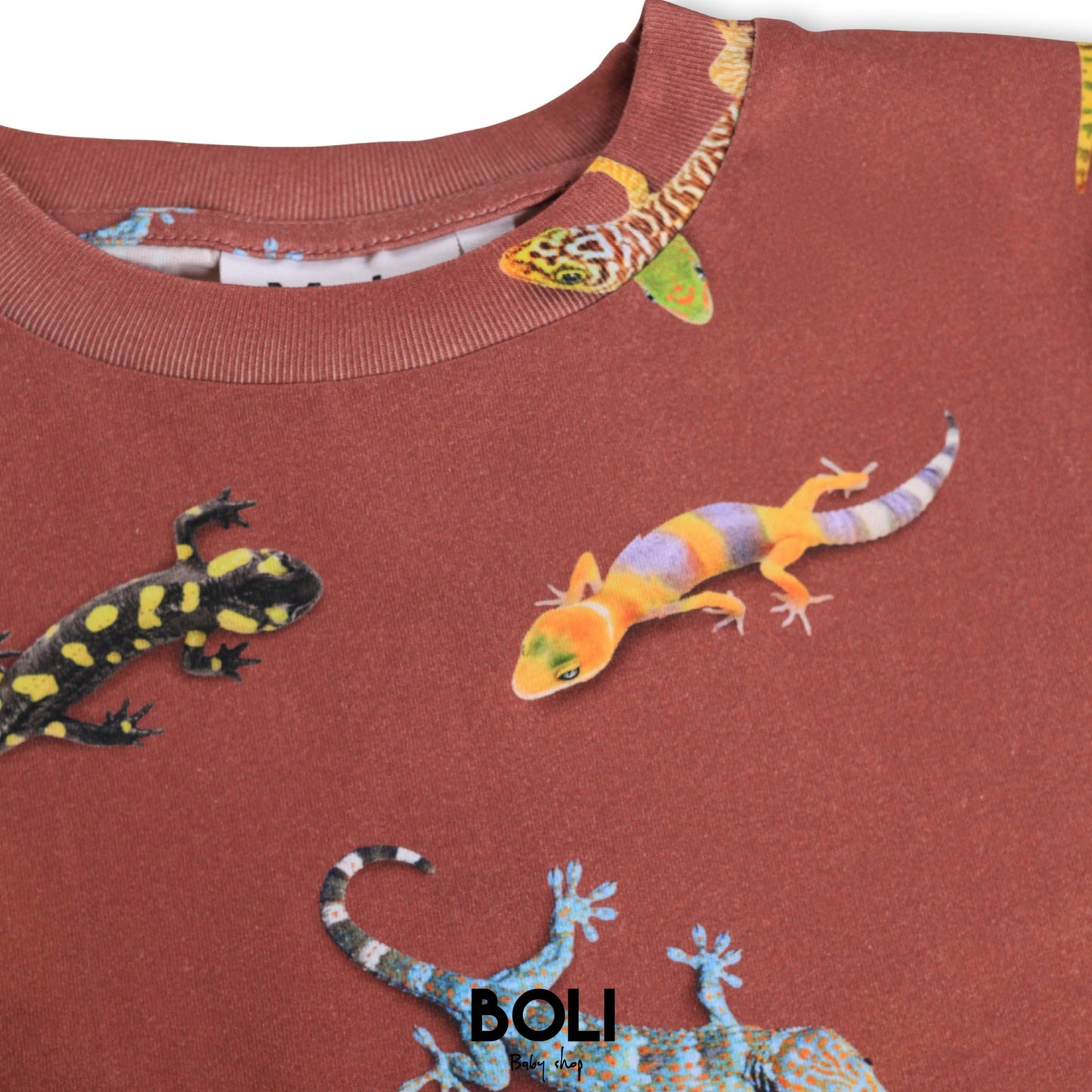 Geckos