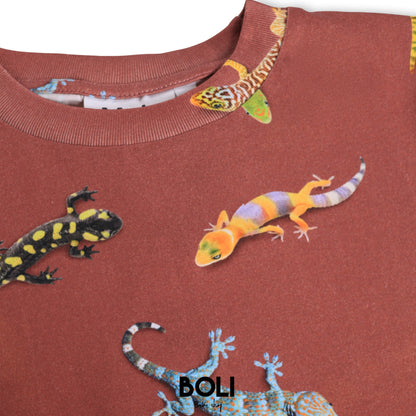 Geckos
