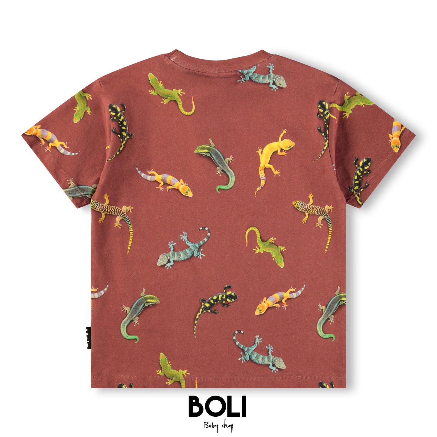Geckos