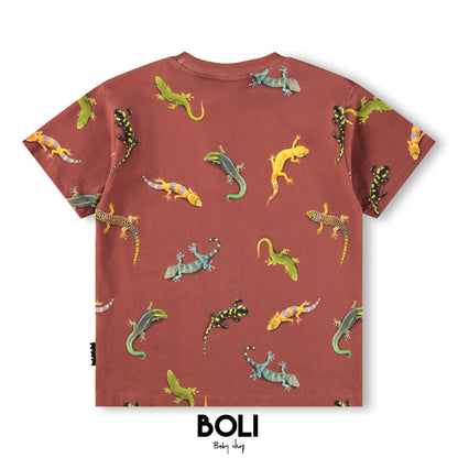 Geckos