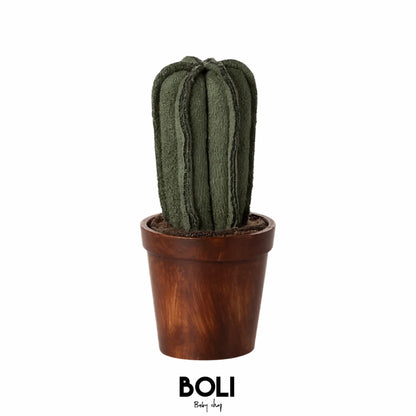 Flower Pot With Cactus