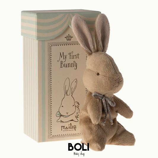 My First Brown Bunny