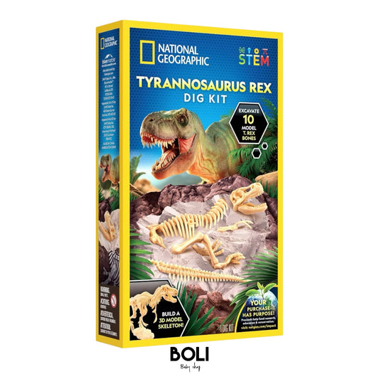 Tyrannosaurus Rex Dig Kit