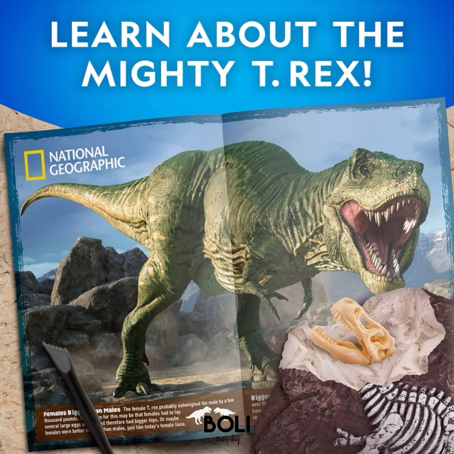 Tyrannosaurus Rex Dig Kit