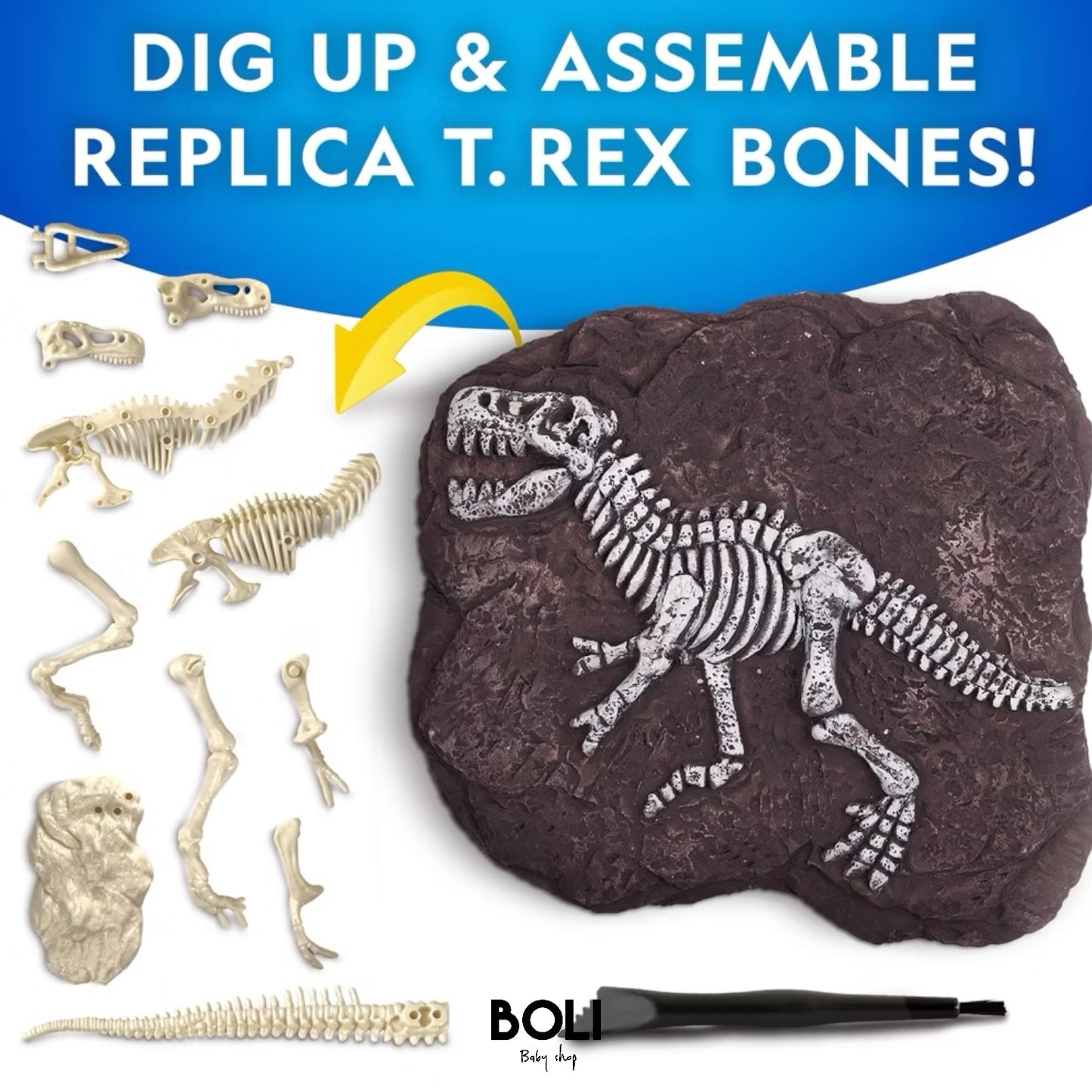 Tyrannosaurus Rex Dig Kit