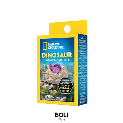 Dino Dig Excavation Kit