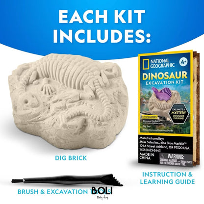 Dino Dig Excavation Kit
