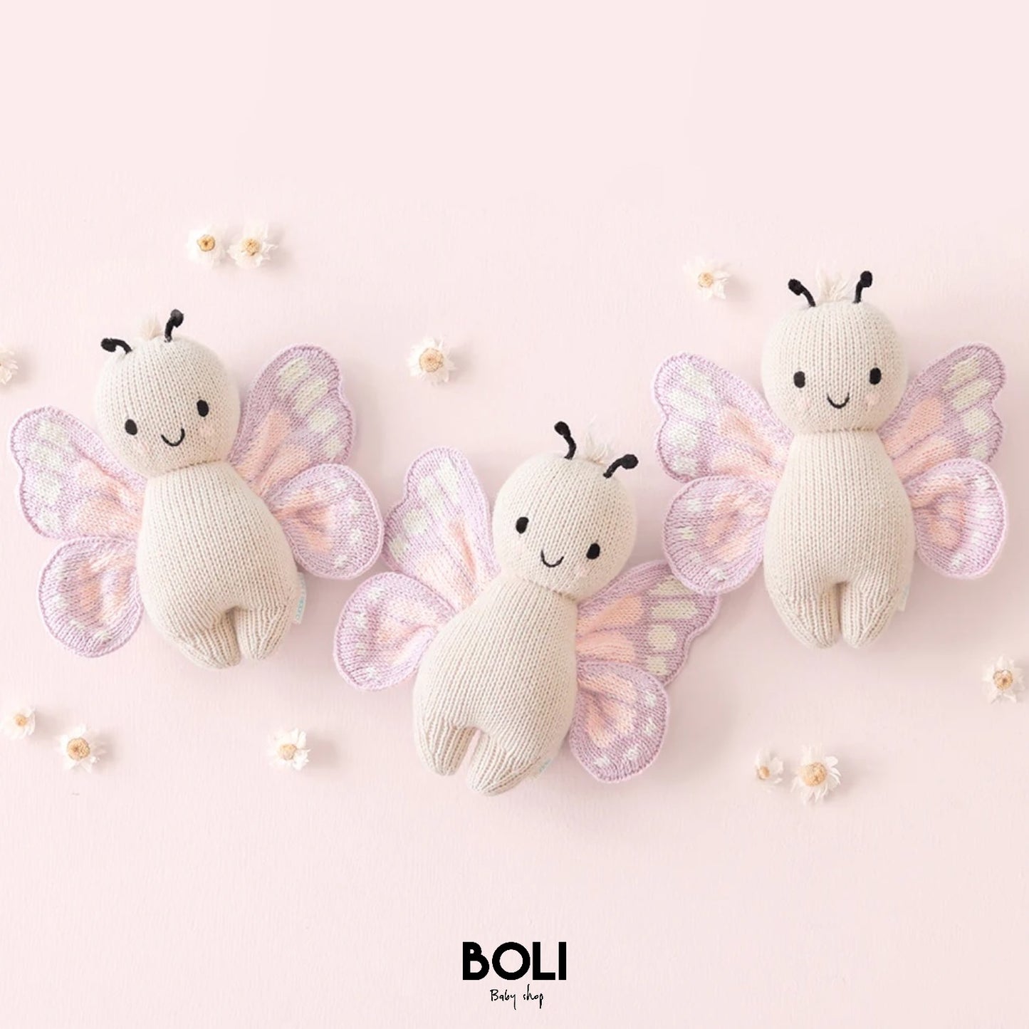 Baby butterfly
