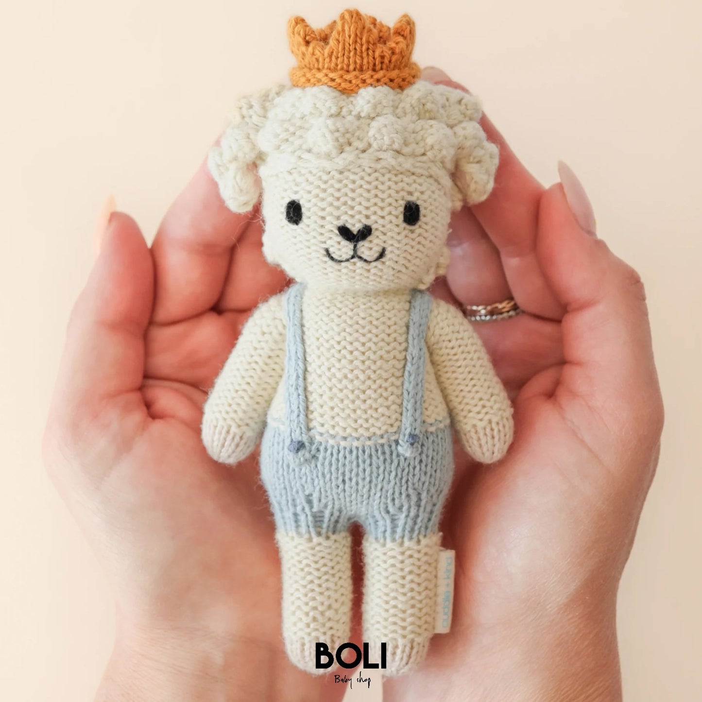 Tiny Sebastian the lamb
