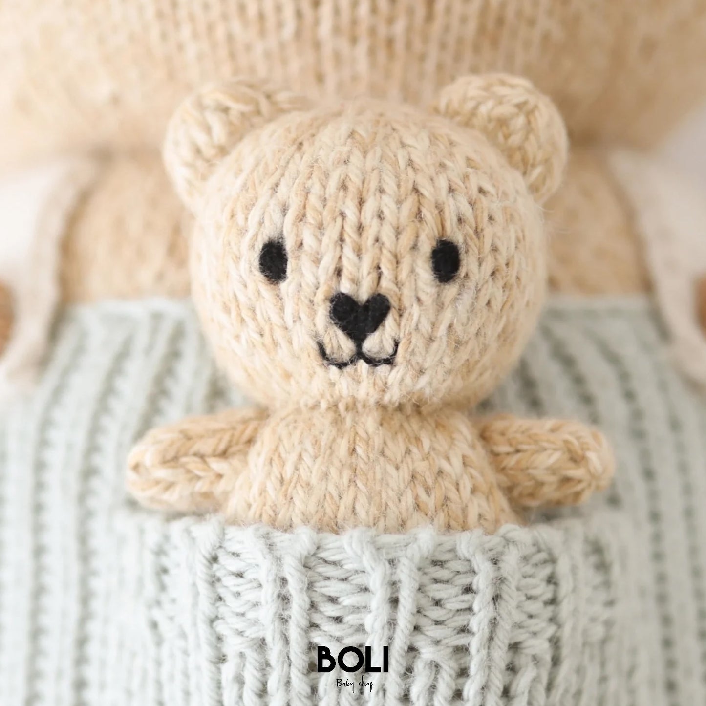 Alexander the honey bear