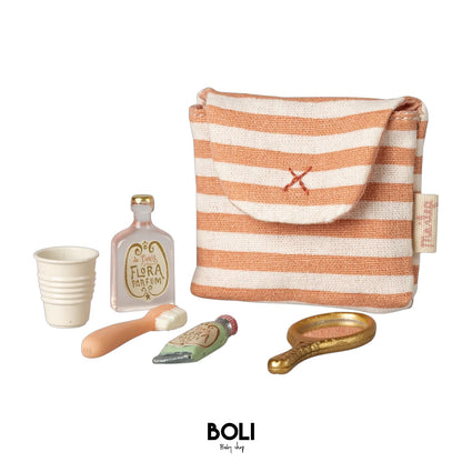 Toothbrush set in bag