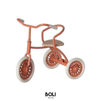 Abri a Tricycle Coral