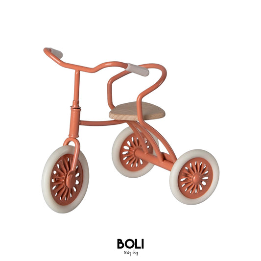 Abri a Tricycle Coral